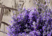 Canvas Print Secret Lavender Bouquet (1 Part) Wide 149990 additionalThumb 5