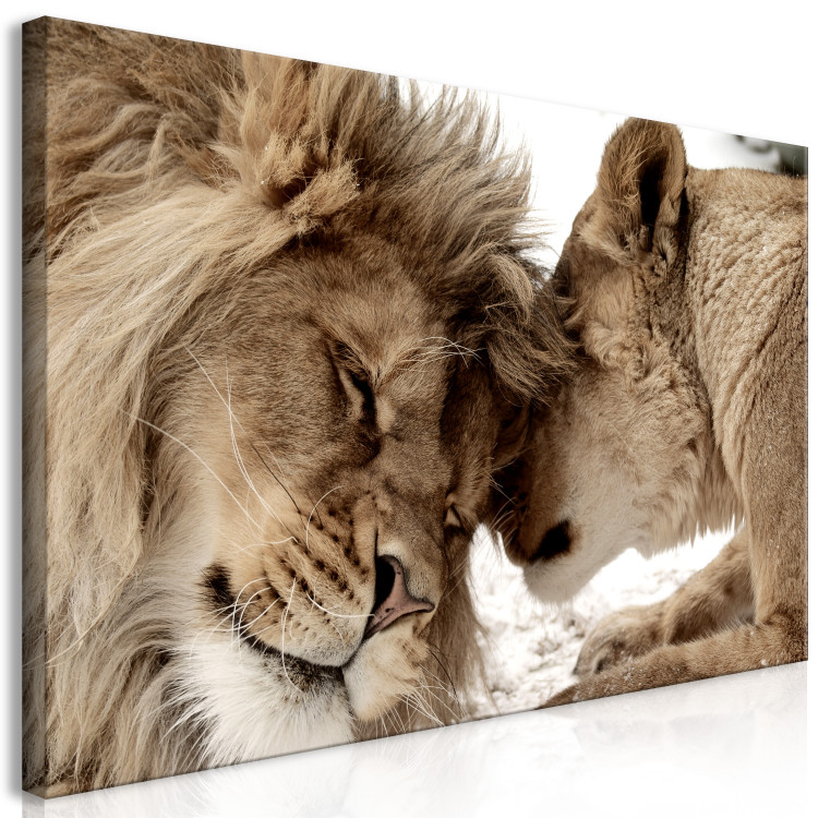 Large canvas print Lion Couple II [Large Format] 150790 additionalImage 2
