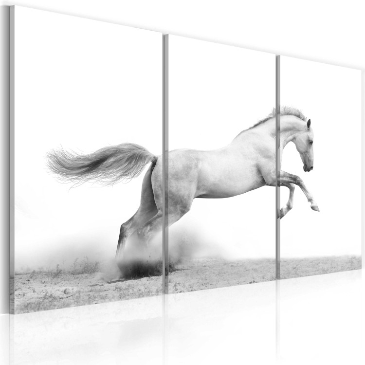 Canvas A galloping horse 58590 additionalImage 2