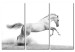 Canvas A galloping horse 58590