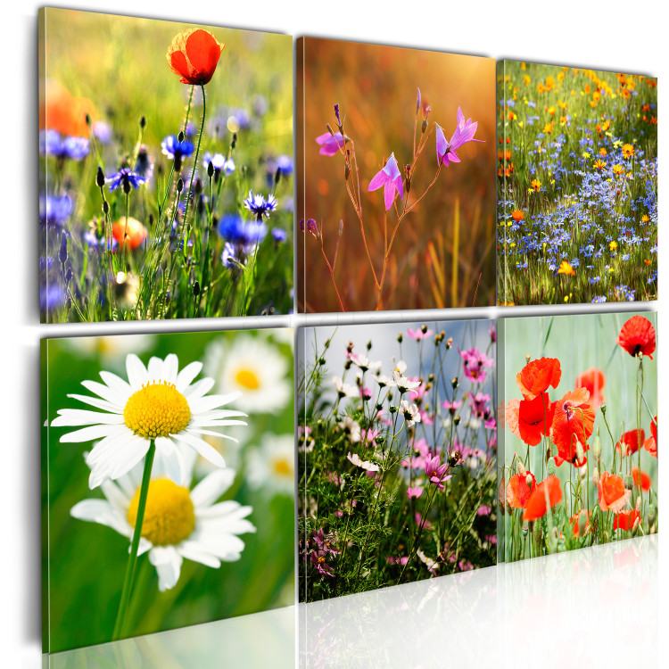 Canvas One thousand colors meadow 58790 additionalImage 2