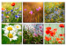 Canvas One thousand colors meadow 58790