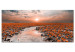Canvas Lily Path (1-part) Wide - Lilies against Sunset 107301
