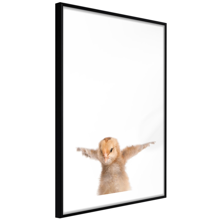 Wall Poster Chick - composition for children with a young bird spreading its wings 114401 additionalImage 11