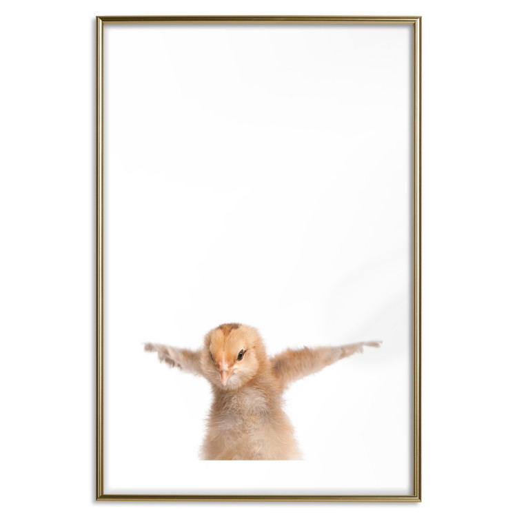 Wall Poster Chick - composition for children with a young bird spreading its wings 114401 additionalImage 20