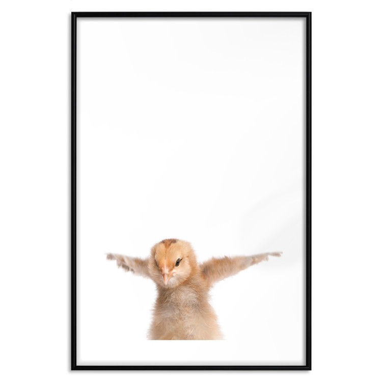 Wall Poster Chick - composition for children with a young bird spreading its wings 114401 additionalImage 19