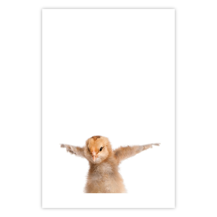 Wall Poster Chick - composition for children with a young bird spreading its wings 114401 additionalImage 15