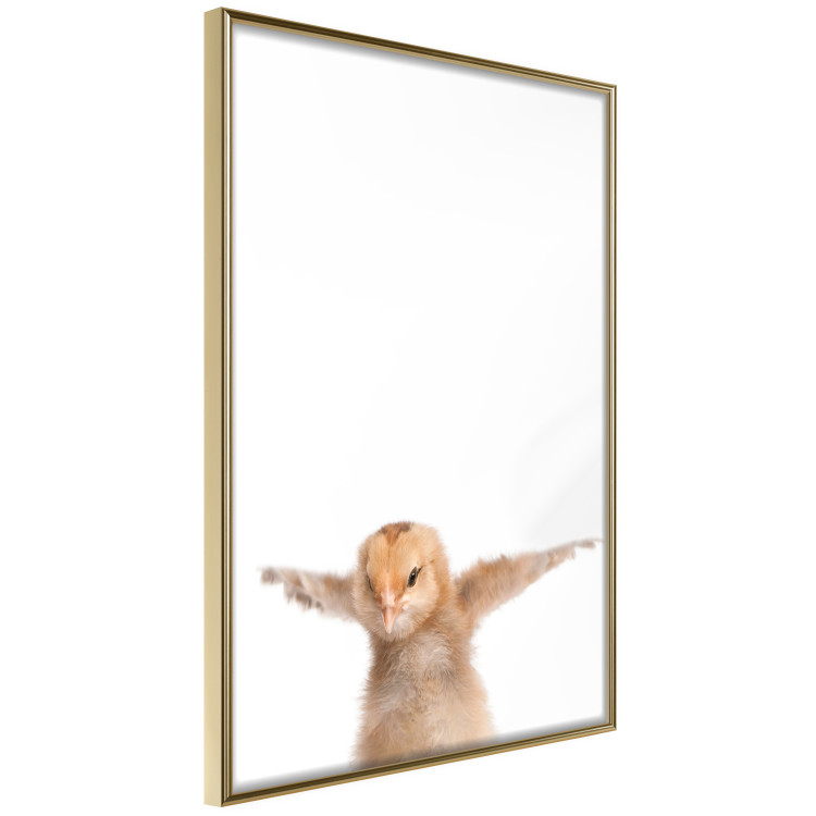 Wall Poster Chick - composition for children with a young bird spreading its wings 114401 additionalImage 12