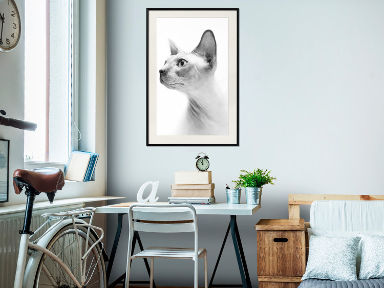 Poster Hairless Cat - black and white portrait of a Peterbald cat in profile 116501 additionalImage 22