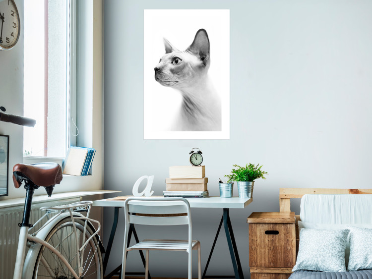Poster Hairless Cat - black and white portrait of a Peterbald cat in profile 116501 additionalImage 4