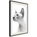 Poster Hairless Cat - black and white portrait of a Peterbald cat in profile 116501 additionalThumb 3