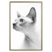 Poster Hairless Cat - black and white portrait of a Peterbald cat in profile 116501 additionalThumb 20