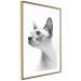Poster Hairless Cat - black and white portrait of a Peterbald cat in profile 116501 additionalThumb 6
