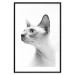 Poster Hairless Cat - black and white portrait of a Peterbald cat in profile 116501 additionalThumb 17