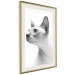 Poster Hairless Cat - black and white portrait of a Peterbald cat in profile 116501 additionalThumb 2