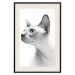 Poster Hairless Cat - black and white portrait of a Peterbald cat in profile 116501 additionalThumb 18
