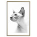 Poster Hairless Cat - black and white portrait of a Peterbald cat in profile 116501 additionalThumb 16