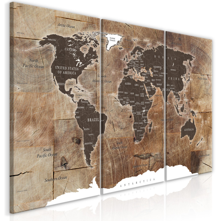 Canvas Art Print World Map: Wooden Mosaic (3 Parts) 122201 additionalImage 2