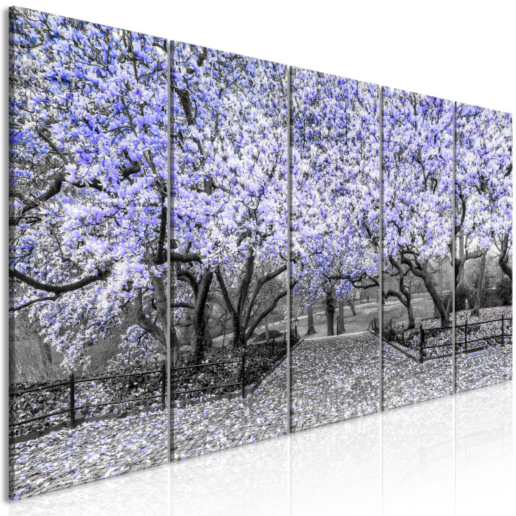 Canvas Art Print Blooming magnolia trees - black and white photo with a purple accent 123101 additionalImage 2