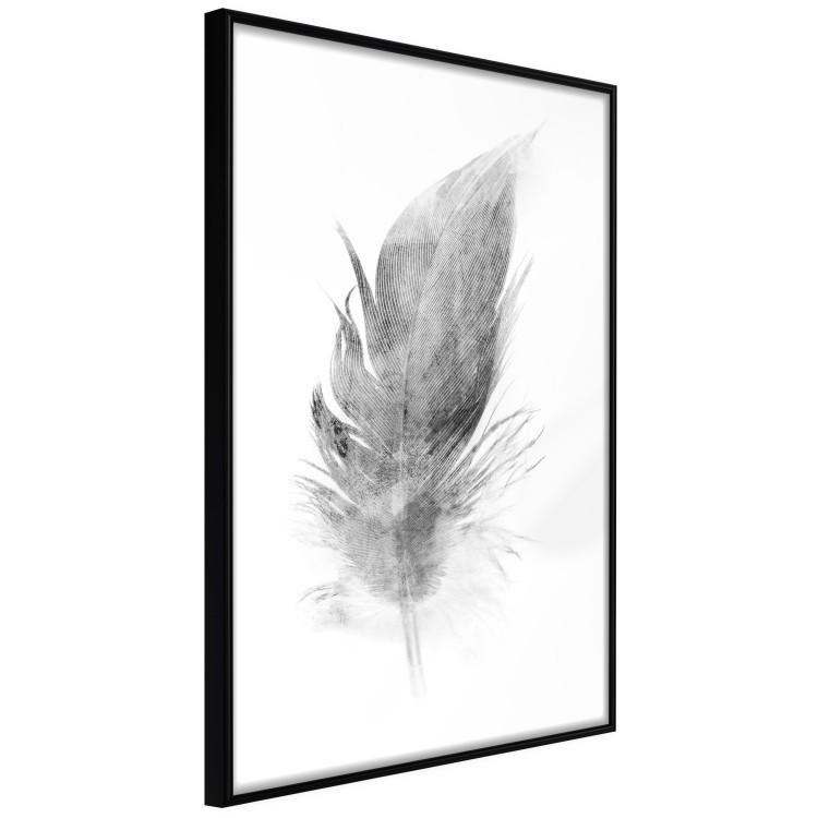 Posters collage Light as a Feather 124937 additionalImage 2
