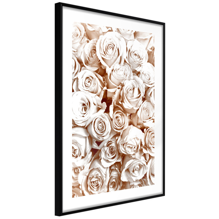 Wall Poster Rose Garden - landscape of field of rose flowers in delicate pink shade 123901 additionalImage 13
