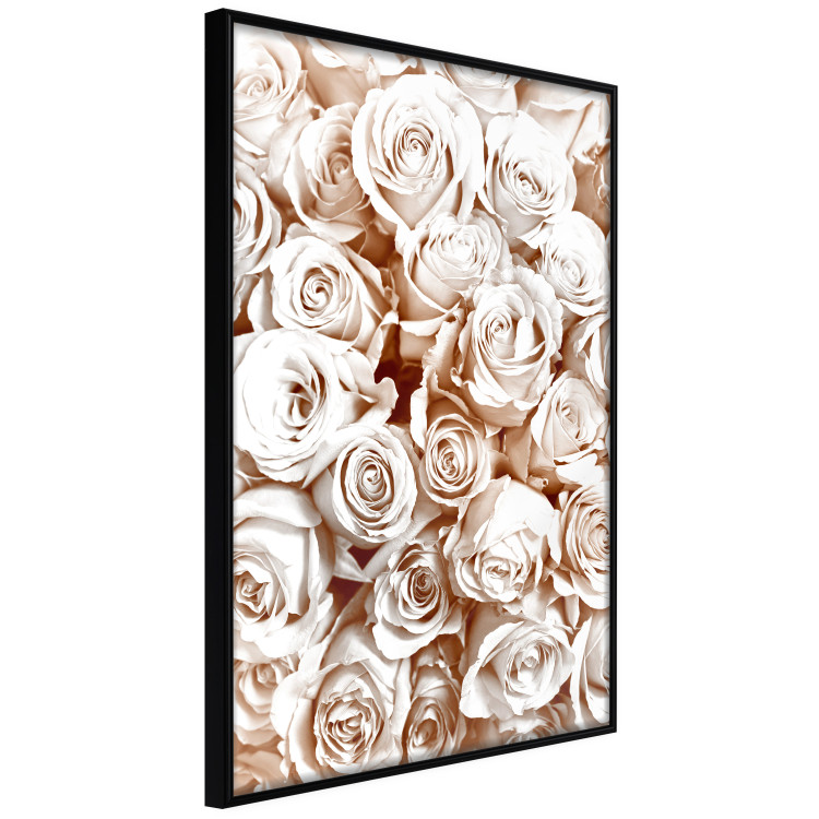 Wall Poster Rose Garden - landscape of field of rose flowers in delicate pink shade 123901 additionalImage 12