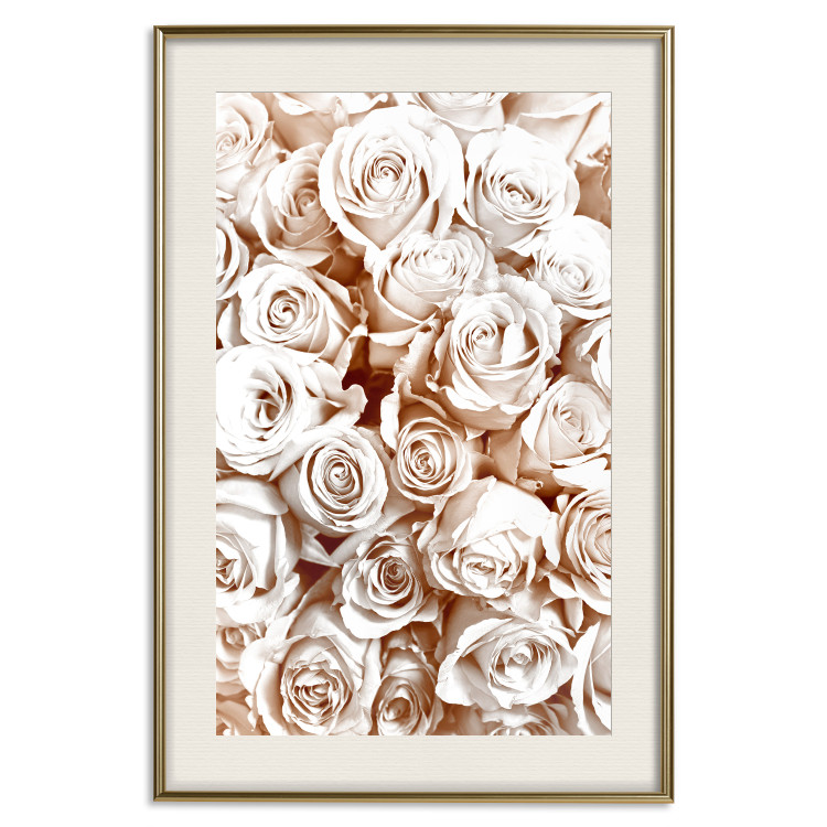 Wall Poster Rose Garden - landscape of field of rose flowers in delicate pink shade 123901 additionalImage 19