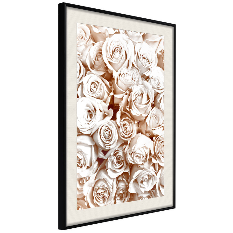 Wall Poster Rose Garden - landscape of field of rose flowers in delicate pink shade 123901 additionalImage 3