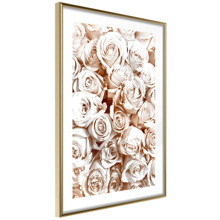 Wall Poster Rose Garden - landscape of field of rose flowers in delicate pink shade 123901 additionalImage 8