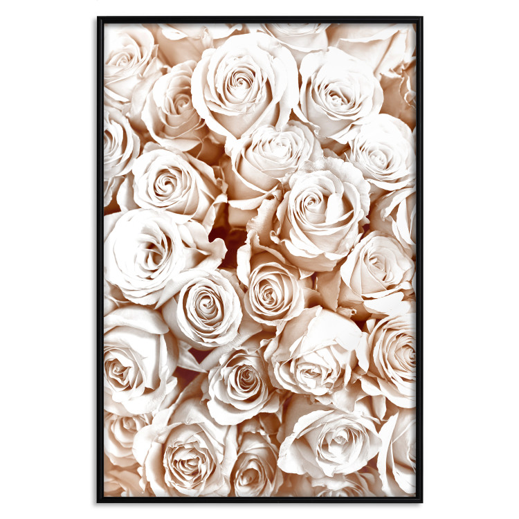 Wall Poster Rose Garden - landscape of field of rose flowers in delicate pink shade 123901 additionalImage 24