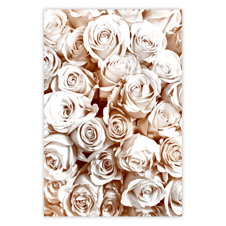 Wall Poster Rose Garden - landscape of field of rose flowers in delicate pink shade 123901