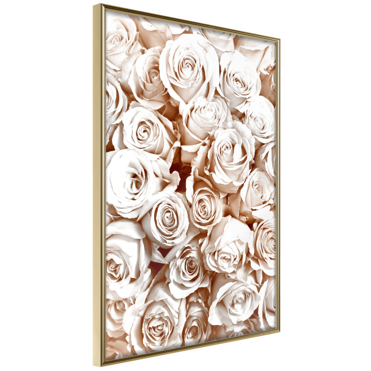 Wall Poster Rose Garden - landscape of field of rose flowers in delicate pink shade 123901 additionalImage 14