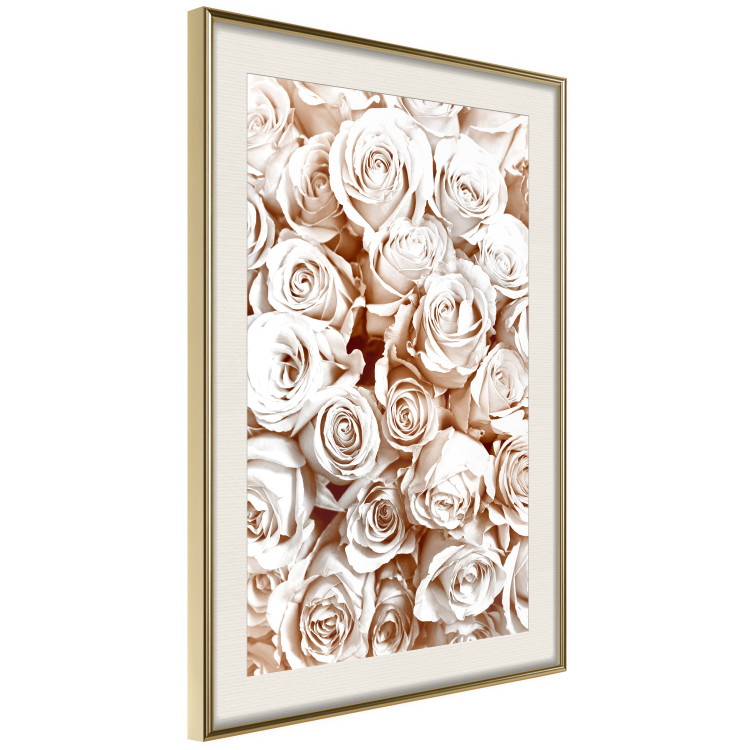Wall Poster Rose Garden - landscape of field of rose flowers in delicate pink shade 123901 additionalImage 2