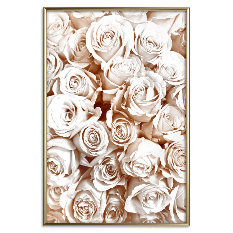 Wall Poster Rose Garden - landscape of field of rose flowers in delicate pink shade 123901 additionalImage 20