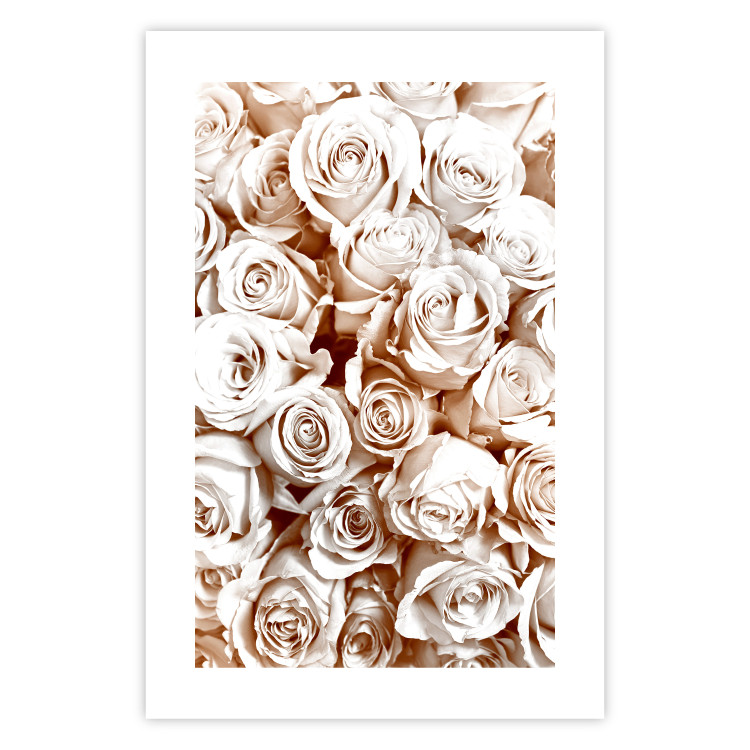 Wall Poster Rose Garden - landscape of field of rose flowers in delicate pink shade 123901 additionalImage 25