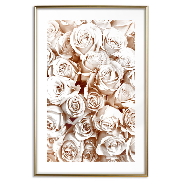 Wall Poster Rose Garden - landscape of field of rose flowers in delicate pink shade 123901 additionalImage 16