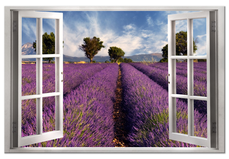 Canvas Print Lavender Field (1 Part) Wide 125001