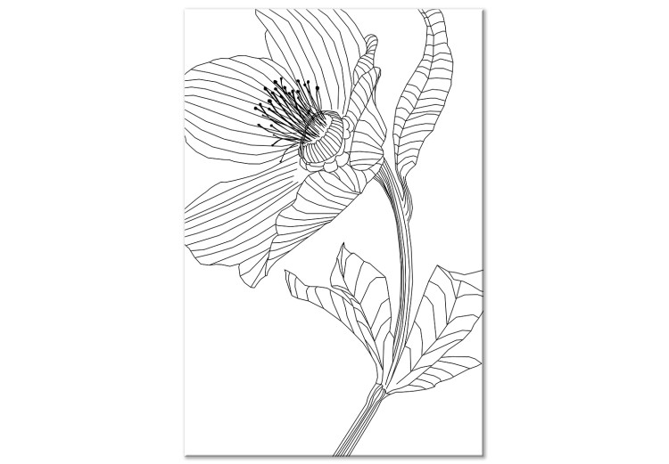Canvas Print Sketched flower - black and white plant contours in line art style 128401
