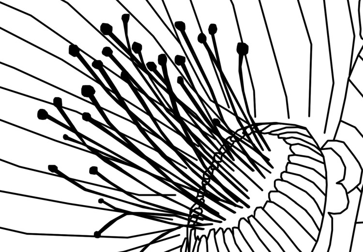Canvas Print Sketched flower - black and white plant contours in line art style 128401 additionalImage 5