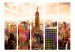 Room Divider Screen Colors of New York City III II - New York City with colorful accents 133901 additionalThumb 3