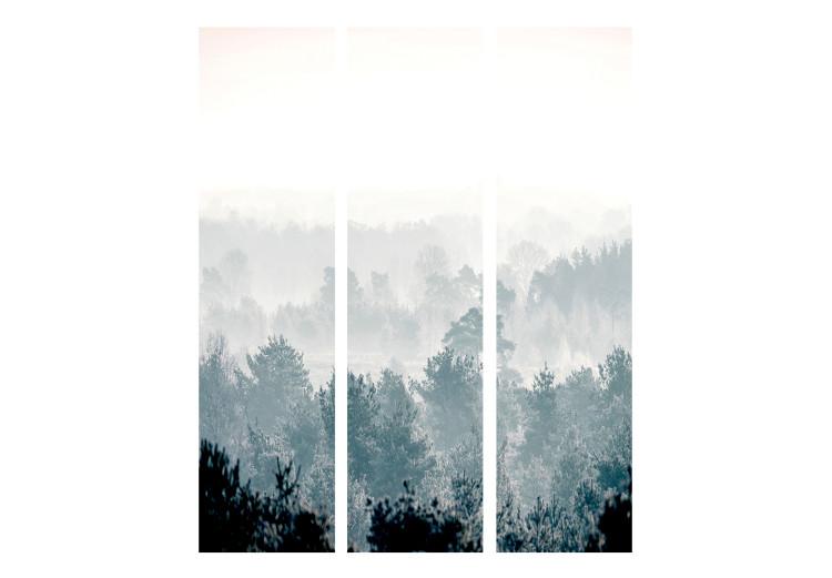 Room Separator Winter Forest - misty forest landscape against a bright sky 134101 additionalImage 3