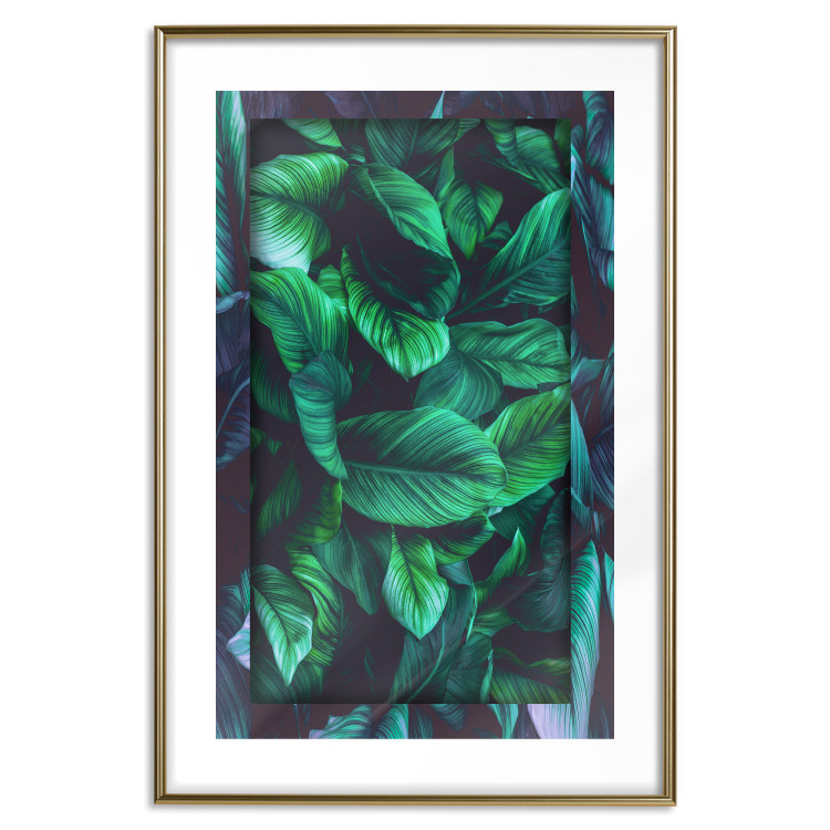 Poster Dangerous Jungle - green composition of leaves in a tropical motif 134501 additionalImage 14