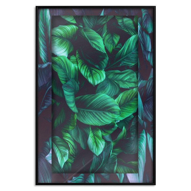 Poster Dangerous Jungle - green composition of leaves in a tropical motif 134501 additionalImage 16