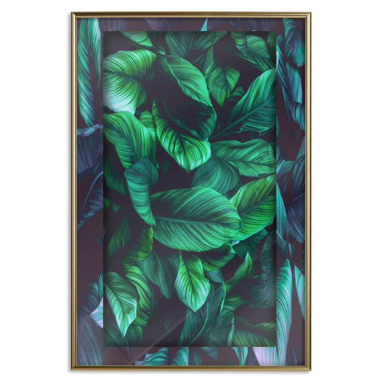 Poster Dangerous Jungle - green composition of leaves in a tropical motif 134501 additionalImage 21