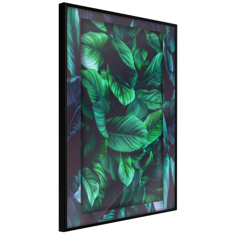 Poster Dangerous Jungle - green composition of leaves in a tropical motif 134501 additionalImage 11