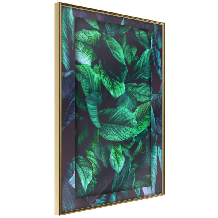 Poster Dangerous Jungle - green composition of leaves in a tropical motif 134501 additionalImage 14