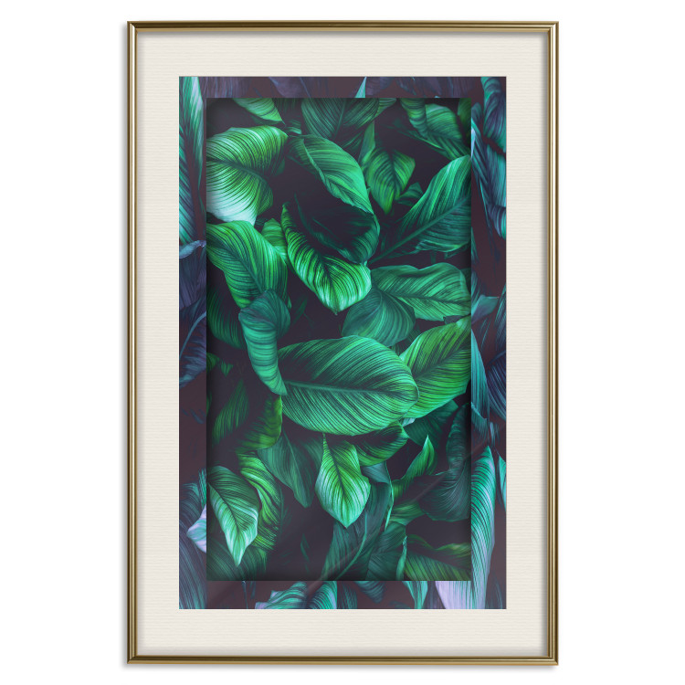 Poster Dangerous Jungle - green composition of leaves in a tropical motif 134501 additionalImage 20