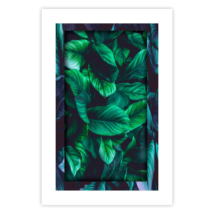Poster Dangerous Jungle - green composition of leaves in a tropical motif 134501 additionalImage 19