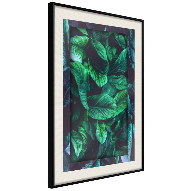 Poster Dangerous Jungle - green composition of leaves in a tropical motif 134501 additionalImage 2