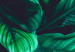 Poster Dangerous Jungle - green composition of leaves in a tropical motif 134501 additionalThumb 10